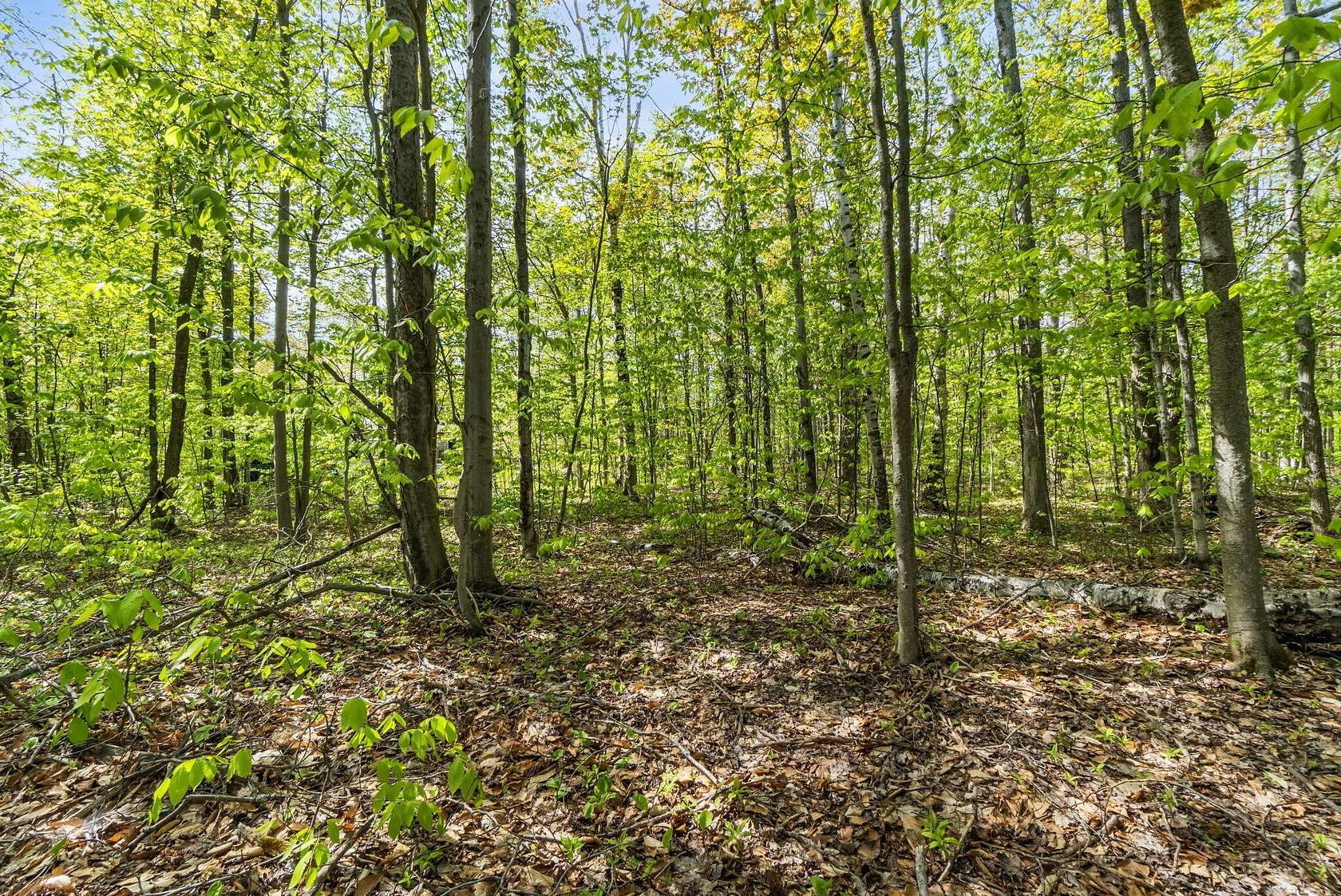 0.81 Acres of Residential Land for Sale in Cheboygan, Michigan