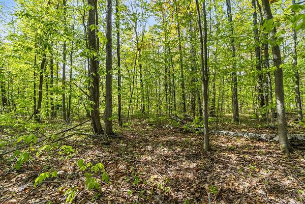 0.81 Acres of Residential Land for Sale in Cheboygan, Michigan