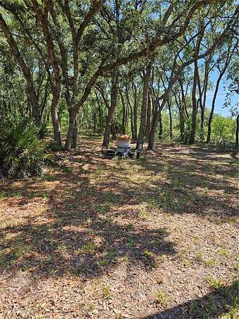 1.64 Acres of Residential Land for Sale in Homosassa, Florida