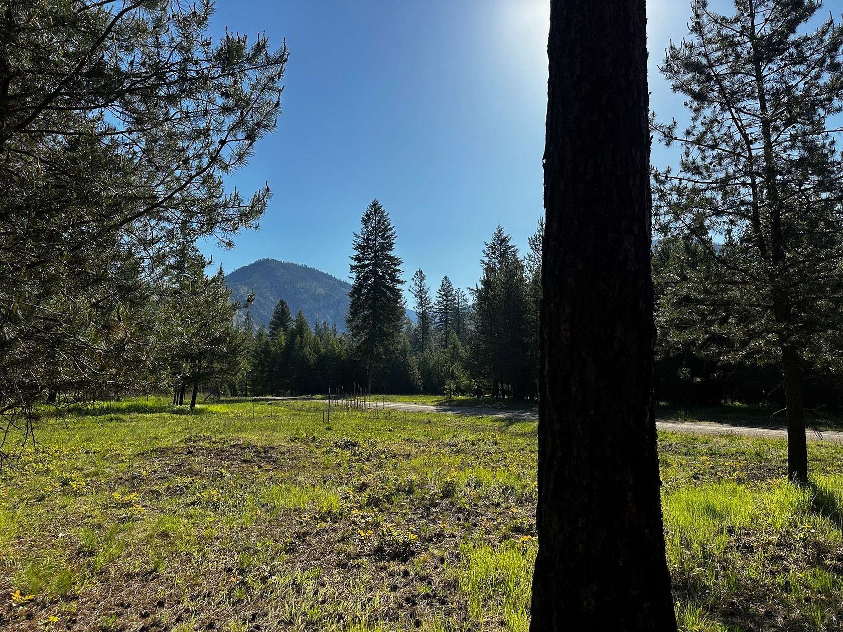 2 Acres of Land for Sale in Thompson Falls, Montana