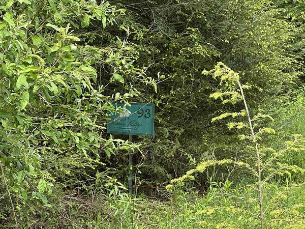 1.3 Acres of Residential Land for Sale in Davis, West Virginia