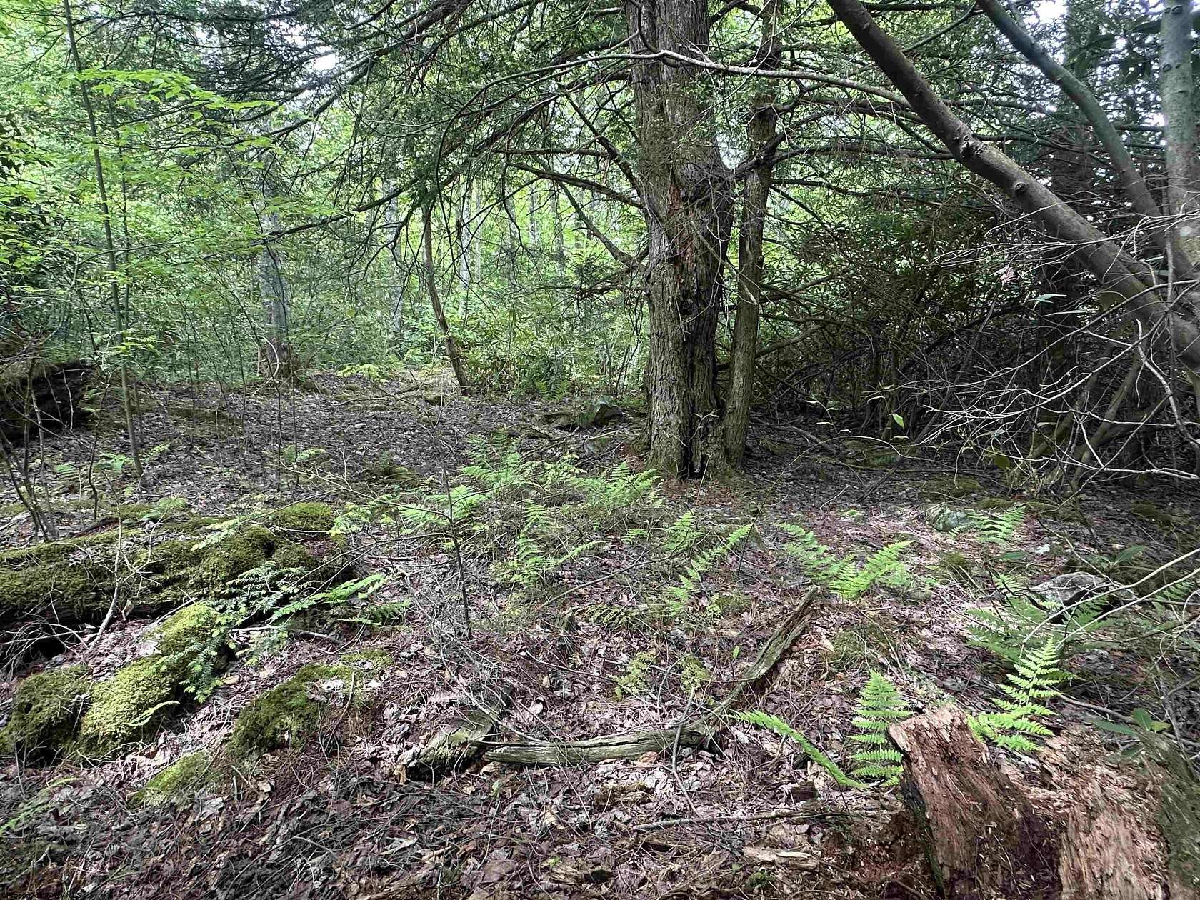 0.51 Acres of Residential Land for Sale in Davis, West Virginia