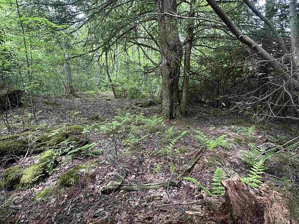 0.51 Acres of Residential Land for Sale in Davis, West Virginia