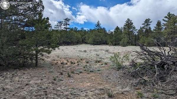 2.5 Acres of Land for Sale in Cañon City, Colorado