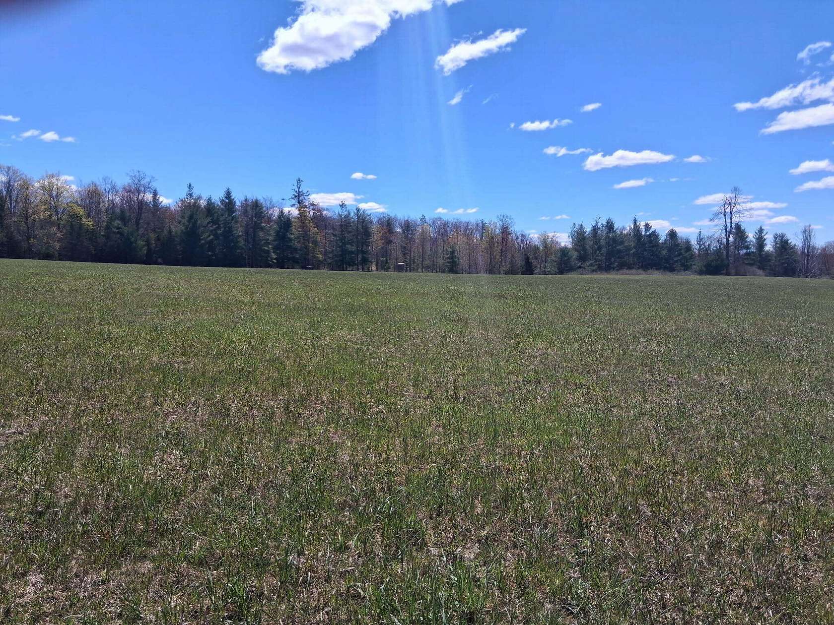 65 Acres of Land for Sale in Curran, Michigan