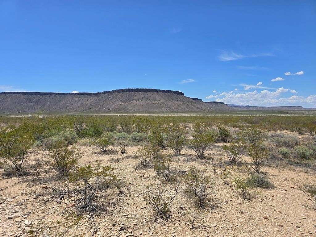 79.5 Acres of Land for Sale in Alpine, Texas
