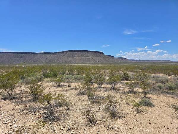 79.5 Acres of Land for Sale in Alpine, Texas