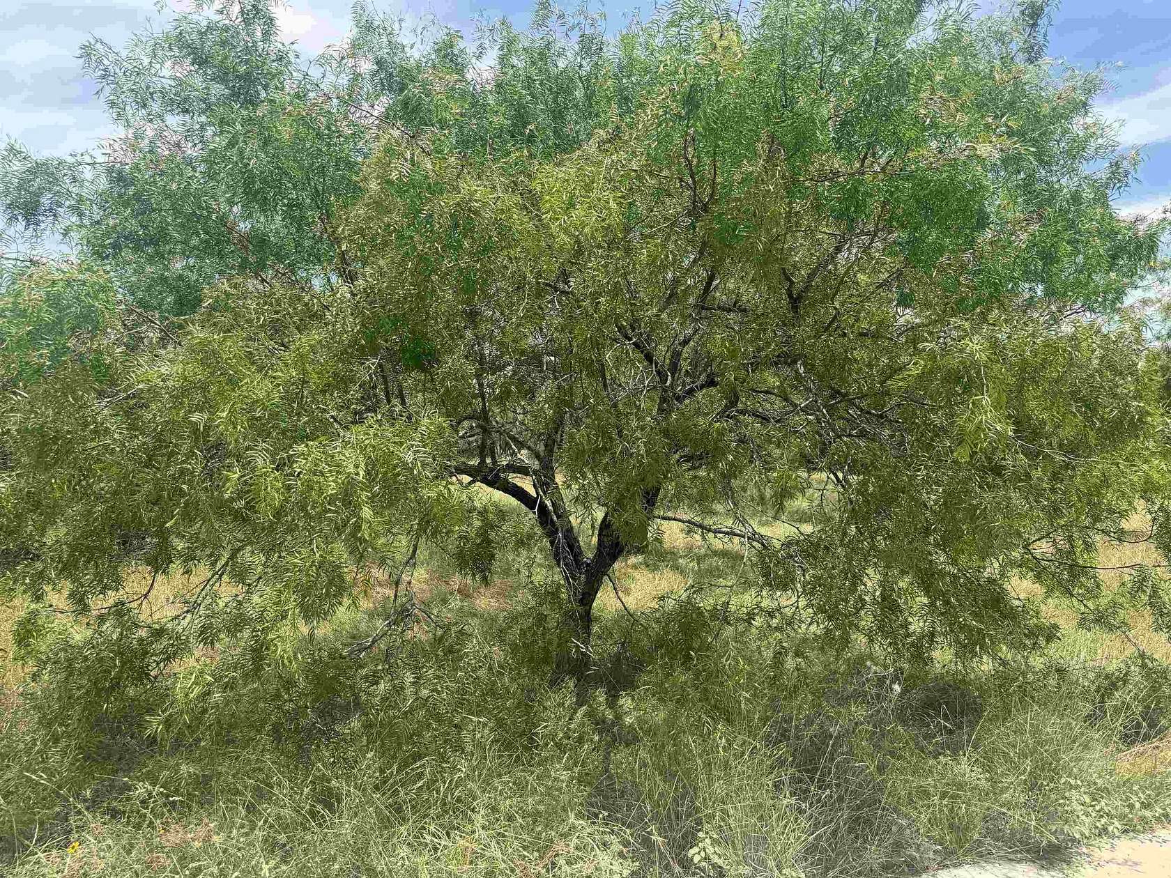 0.12 Acres of Residential Land for Sale in Horseshoe Bay, Texas
