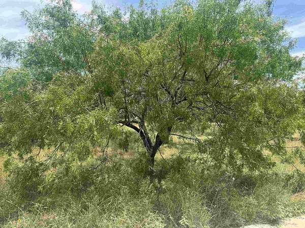 0.12 Acres of Residential Land for Sale in Horseshoe Bay, Texas