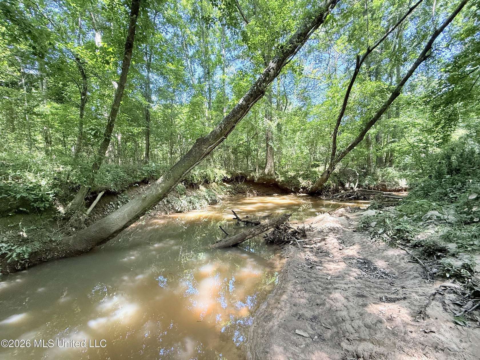 65 Acres of Recreational & Residential Land for Sale in Smithdale, Mississippi