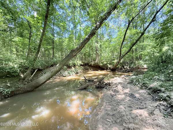 65 Acres of Recreational & Residential Land for Sale in Smithdale, Mississippi