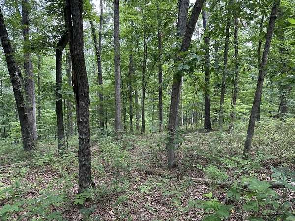 0.31 Acres of Land for Sale in Bella Vista, Arkansas