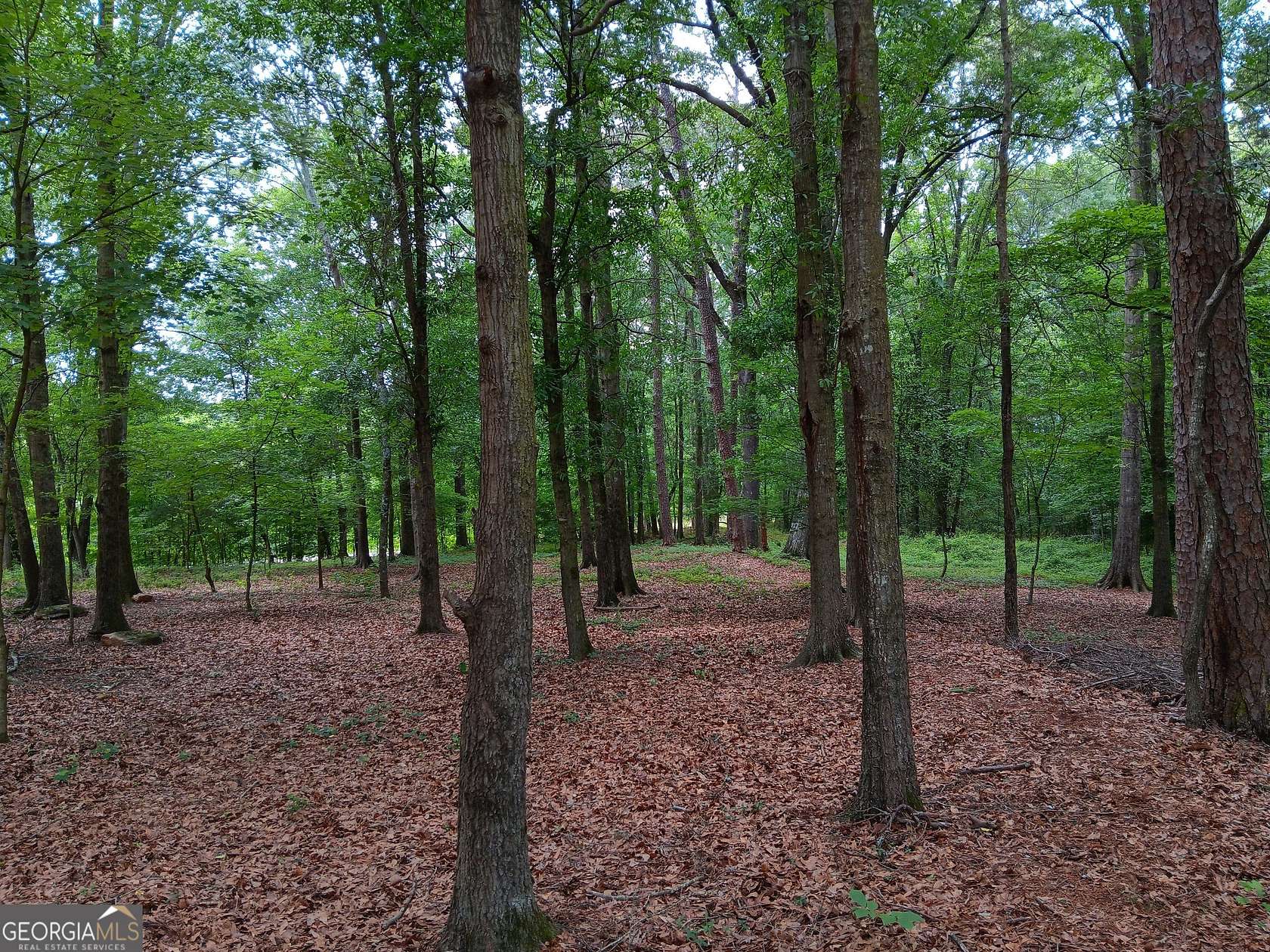10 Acres of Residential Land for Sale in Maysville, Georgia