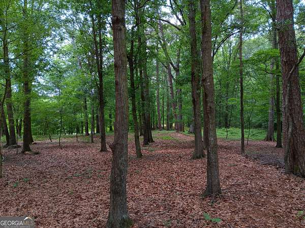 10 Acres of Residential Land for Sale in Maysville, Georgia