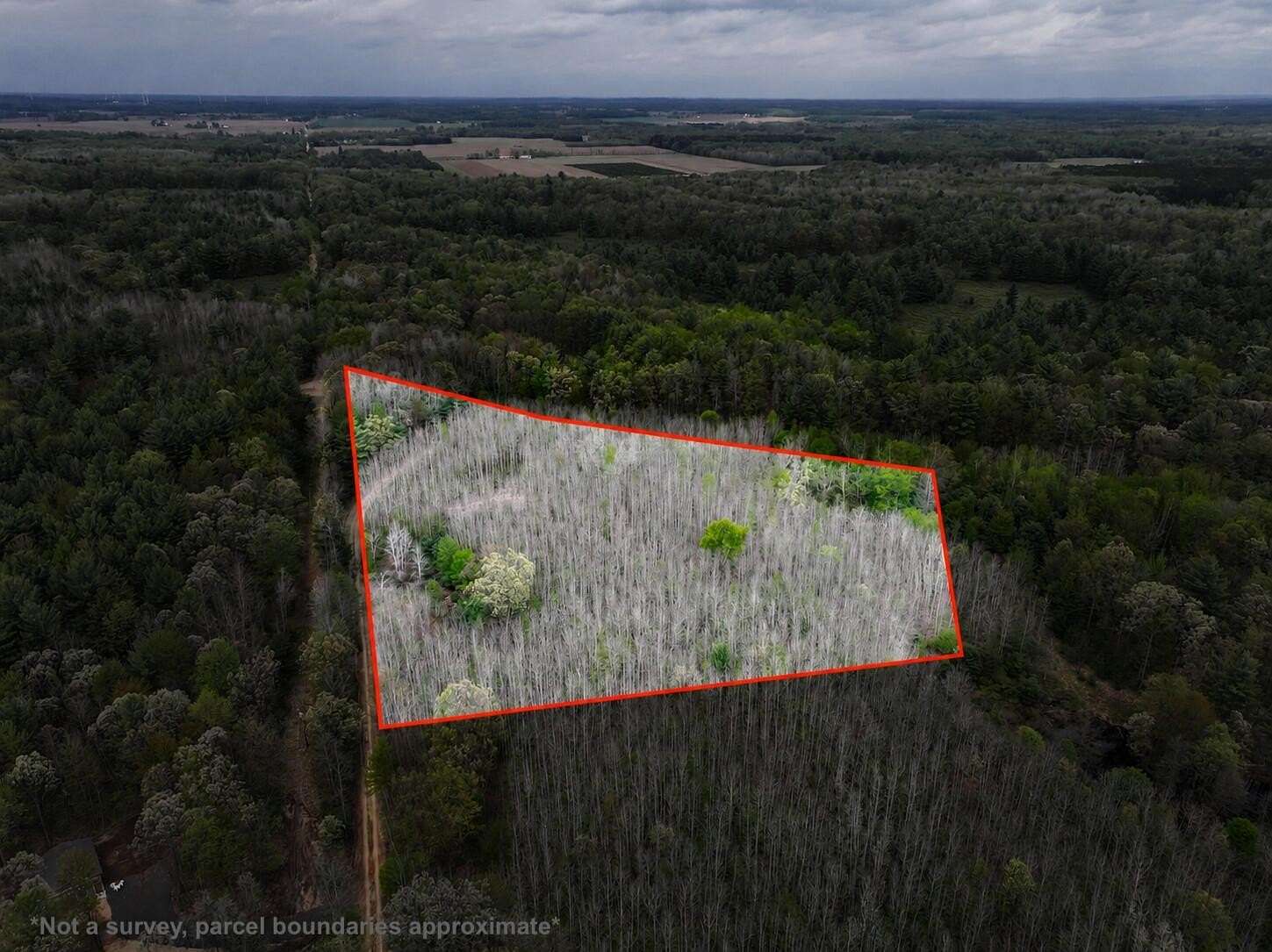 6.62 Acres of Residential Land for Sale in Hart, Michigan