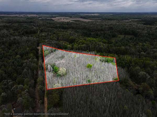 6.62 Acres of Residential Land for Sale in Hart, Michigan