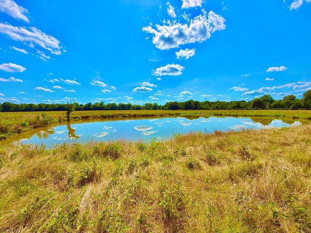 23.5 Acres of Agricultural Land for Sale in Crockett, Texas