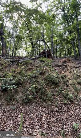 0.84 Acres of Residential Land for Sale in Big Canoe, Georgia