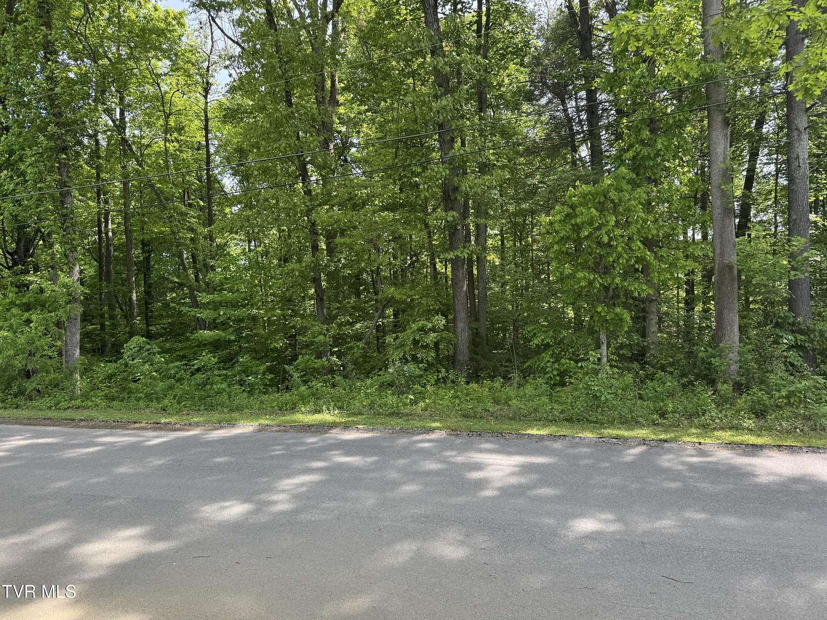 0.46 Acres of Land for Sale in Greeneville, Tennessee