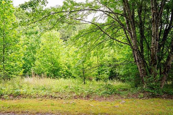 1.87 Acres of Residential Land for Sale in Hayesville, North Carolina