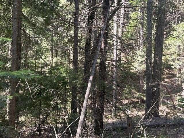 1.9 Acres of Residential Land for Sale in Mount Shasta, California