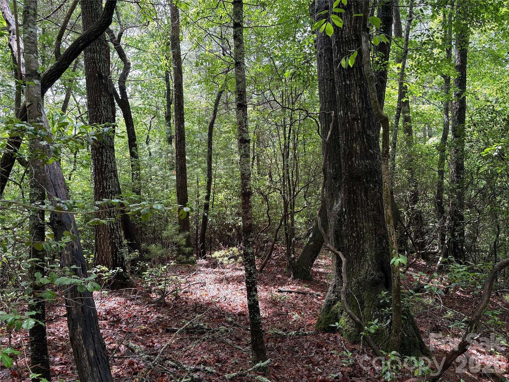 0.83 Acres of Land for Sale in Otto, North Carolina
