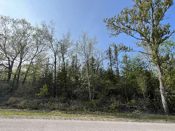 0.64 Acres of Residential Land for Sale in Presque Isle, Michigan