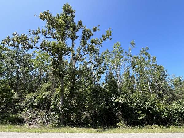 0.64 Acres of Residential Land for Sale in Presque Isle, Michigan