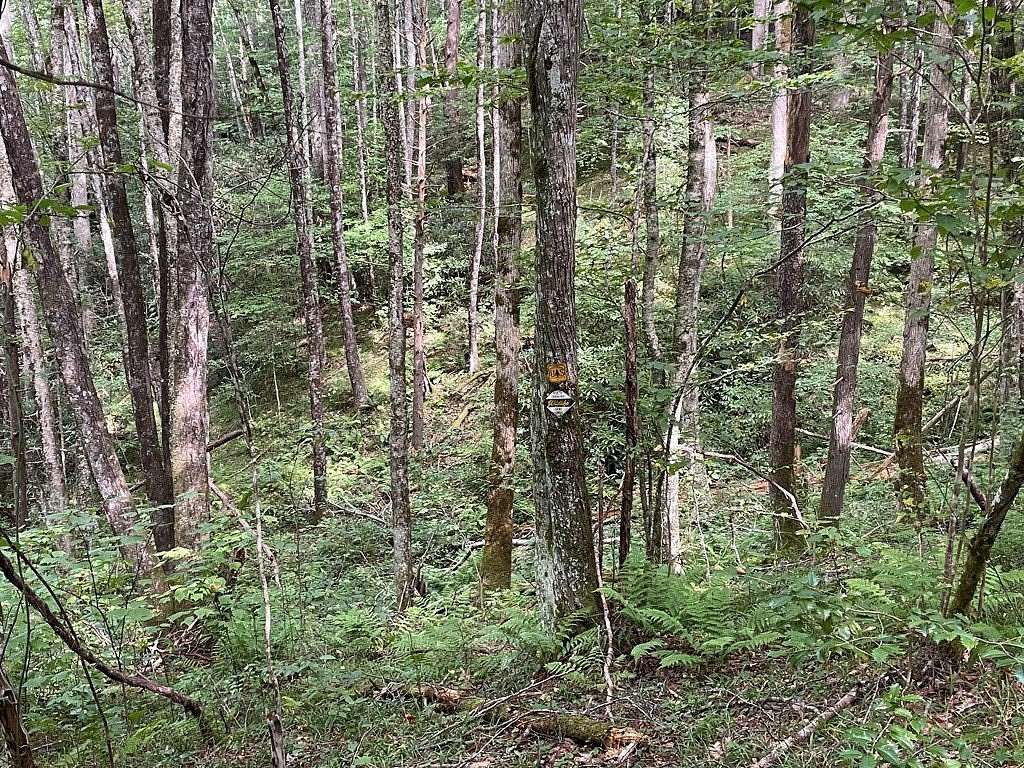 1.5 Acres of Land for Sale in Topton, North Carolina