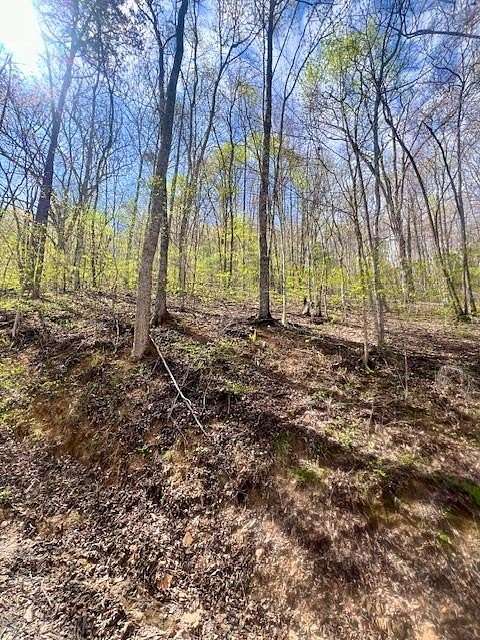 2.72 Acres of Residential Land for Sale in Robbinsville, North Carolina