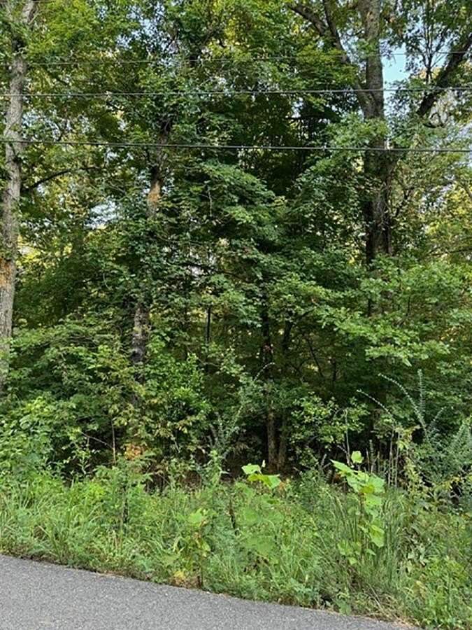 0.8 Acres of Land for Sale in Hardy, Arkansas