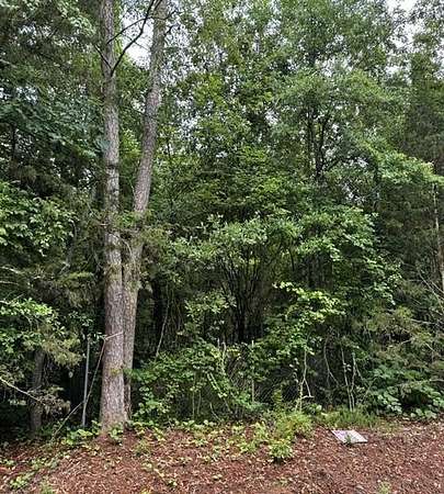 0.2 Acres of Residential Land for Sale in Lavonia, Georgia