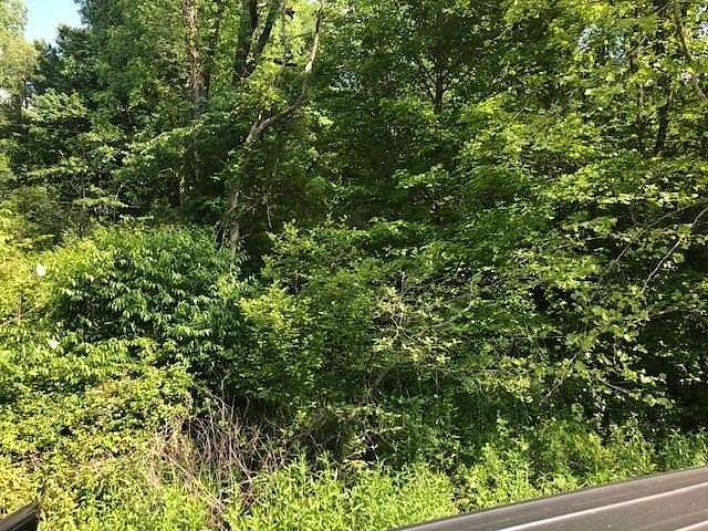33.2 Acres of Recreational Land for Sale in Robbinsville, North Carolina