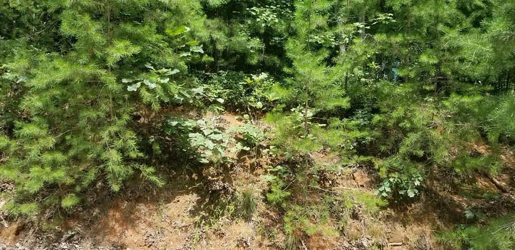 0.91 Acres of Residential Land for Sale in Blue Ridge, Georgia