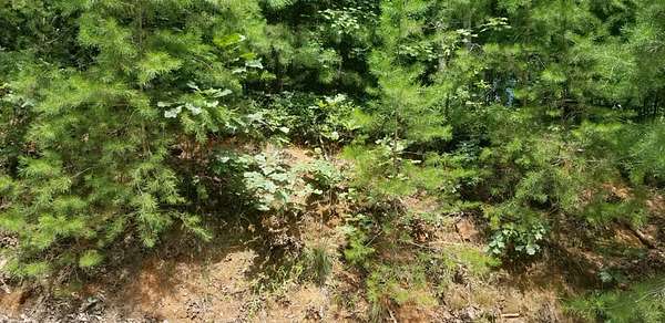 0.91 Acres of Residential Land for Sale in Blue Ridge, Georgia