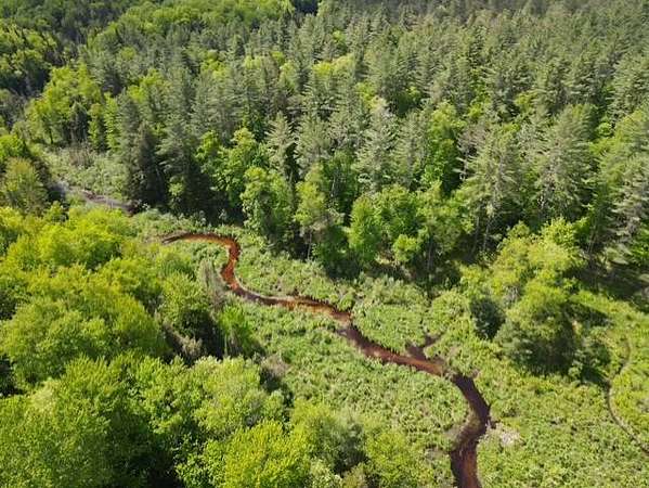 187 Acres of Recreational & Residential Land for Sale in Greig, New York