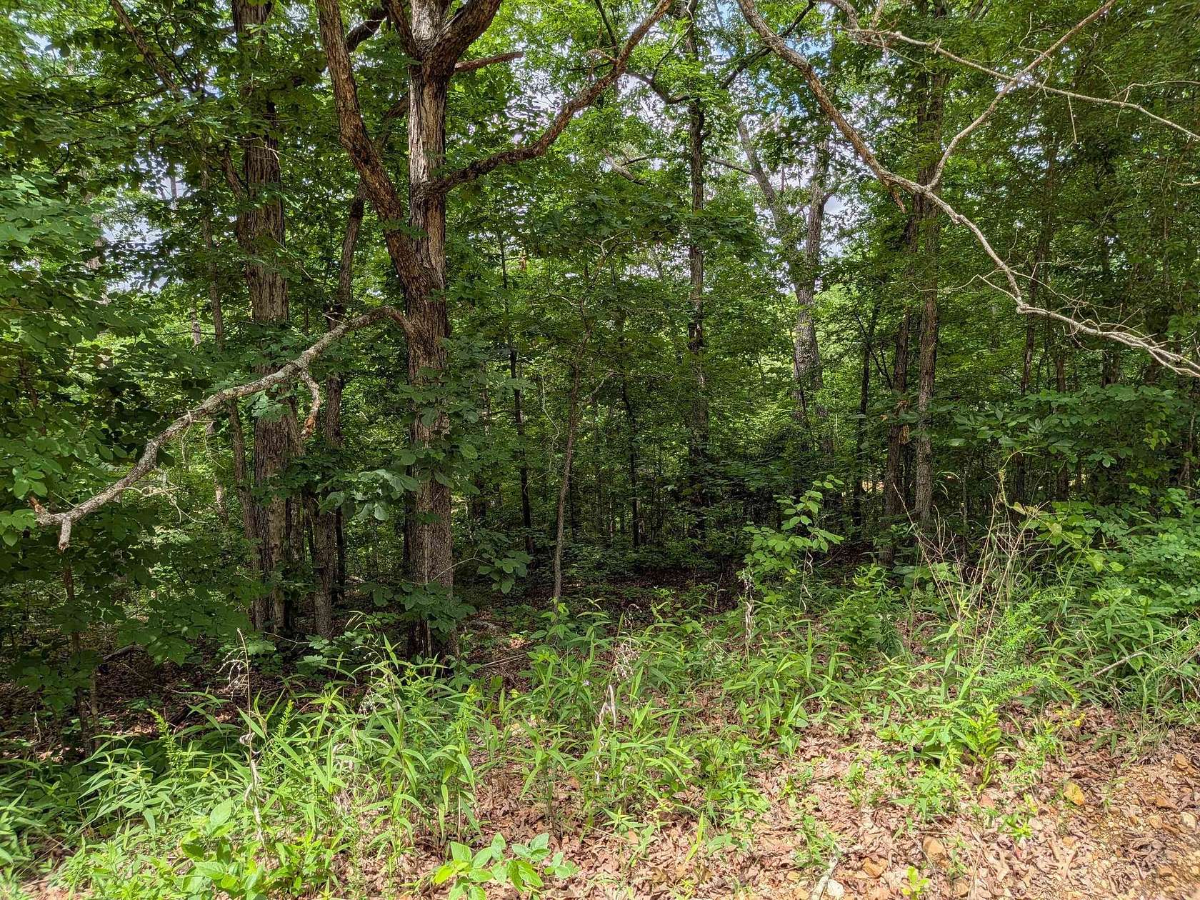 0.3 Acres of Residential Land for Sale in Ozark Acres, Arkansas