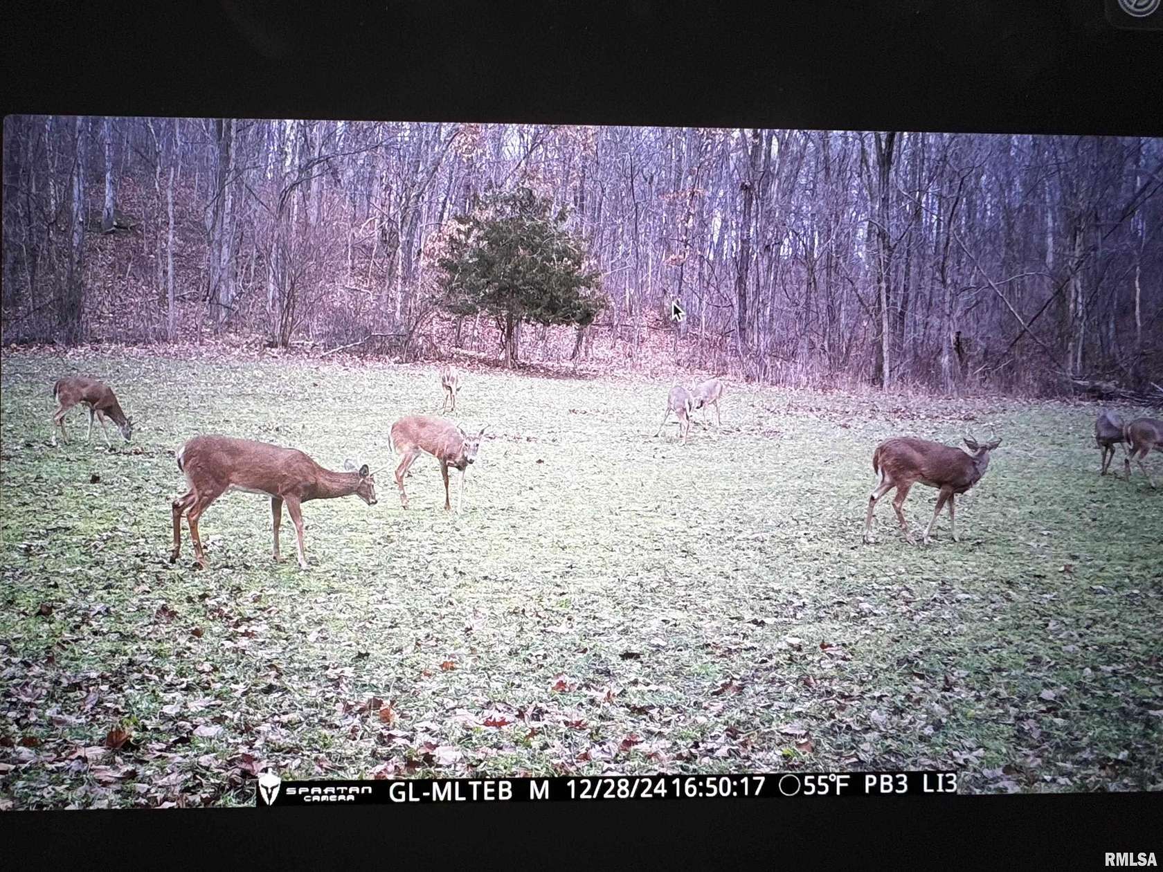 84 Acres of Land for Sale in Rushville, Illinois