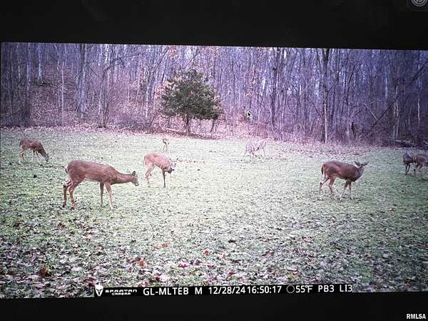 84 Acres of Land for Sale in Rushville, Illinois