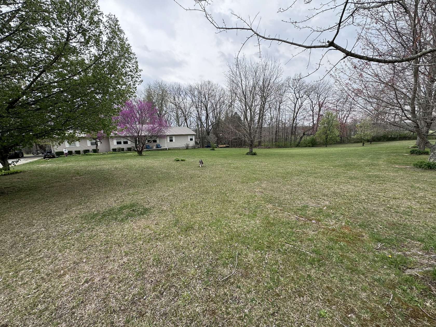 1.59 Acres of Land with Home for Sale in Crossville, Tennessee