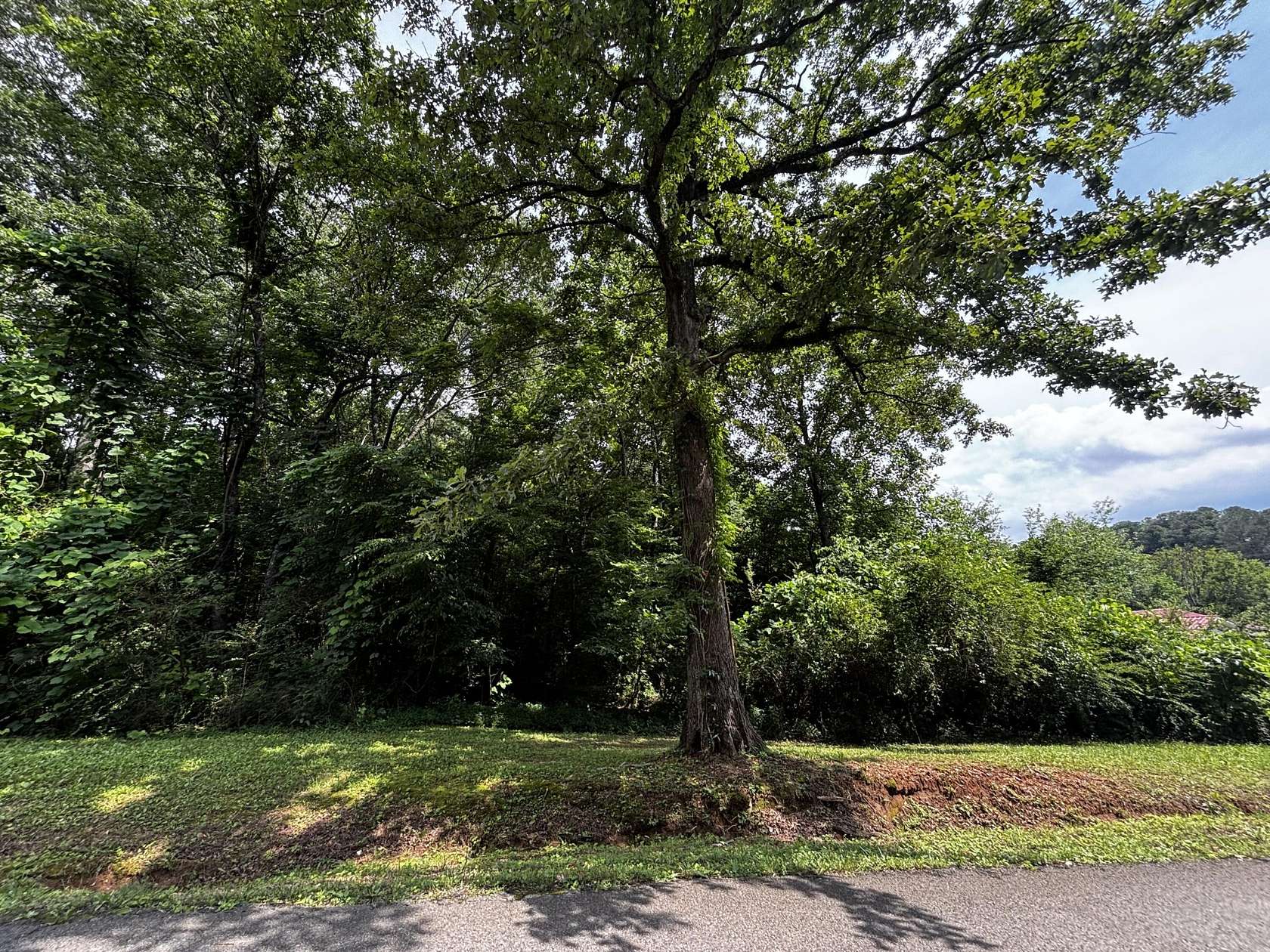 0.34 Acres of Land for Sale in Bridgeport, Alabama