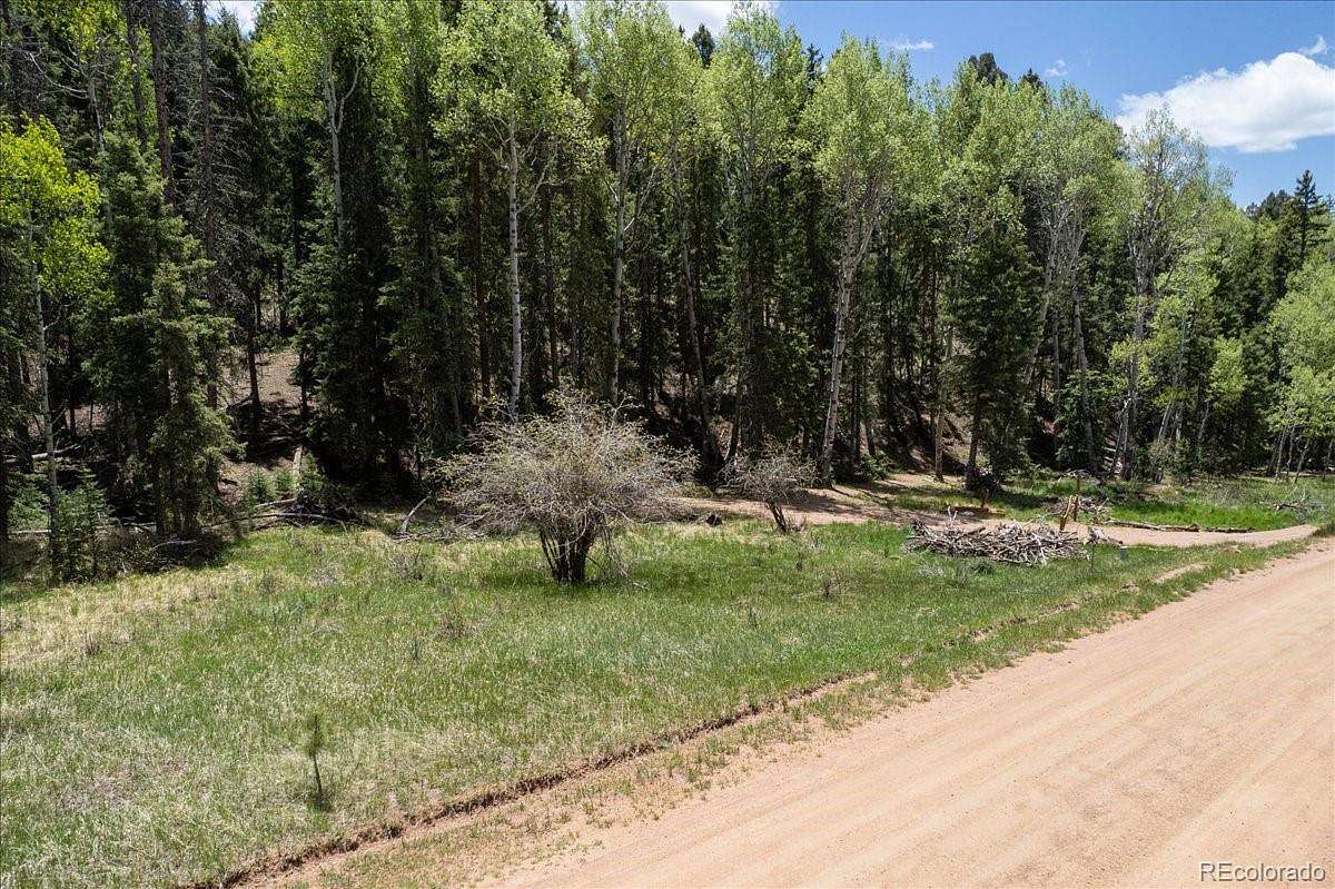 0.6 Acres of Residential Land for Sale in Florissant, Colorado