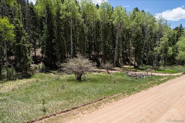 0.6 Acres of Residential Land for Sale in Florissant, Colorado