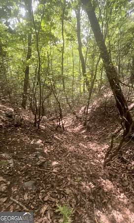 1.24 Acres of Residential Land for Sale in Jasper, Georgia