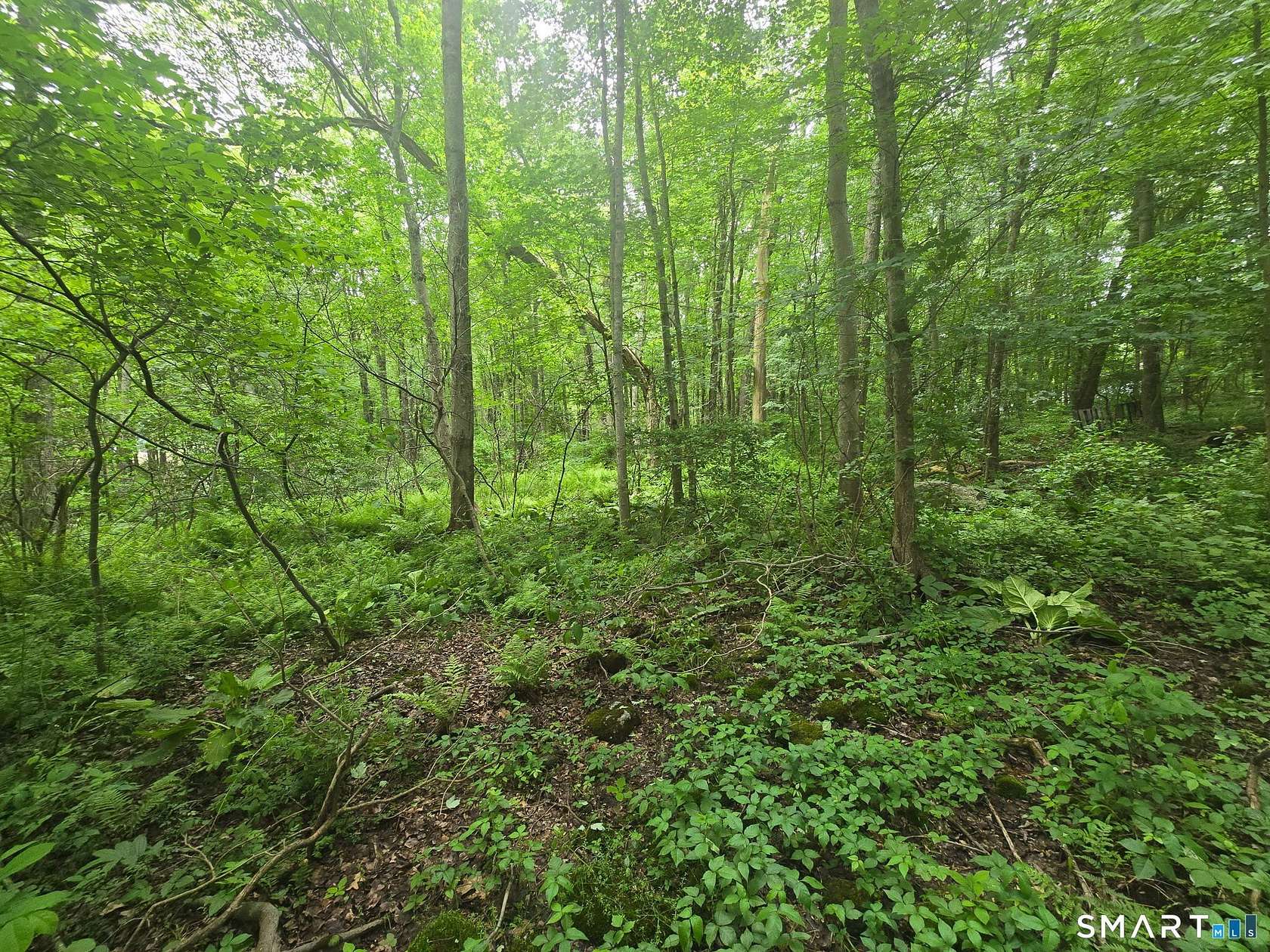 0.92 Acres of Land for Sale in Andover, Connecticut