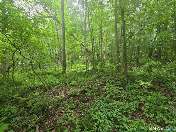 0.92 Acres of Land for Sale in Andover, Connecticut
