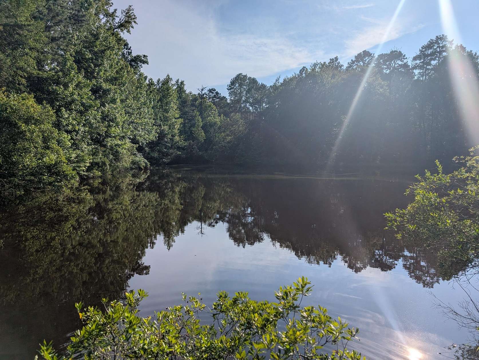 4 Acres of Residential Land for Sale in Appling, Georgia