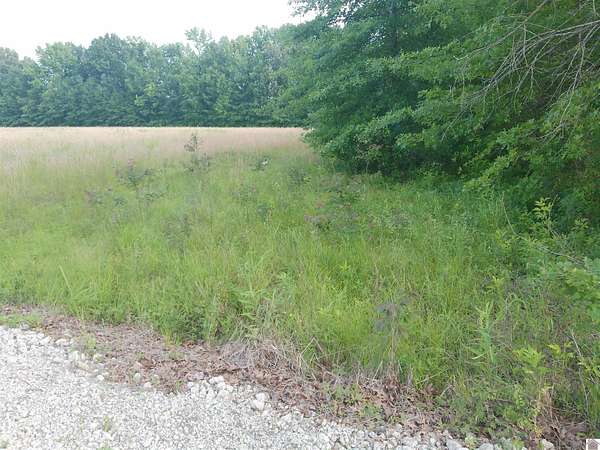 48.3 Acres of Recreational Land for Sale in Paducah, Kentucky