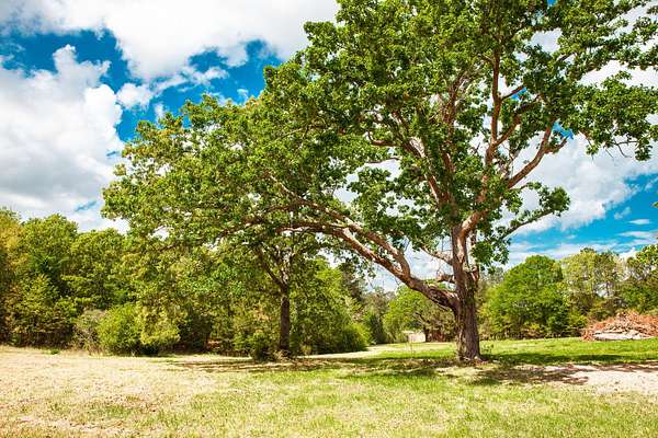 151 Acres of Land for Sale in Lincolnton, Georgia