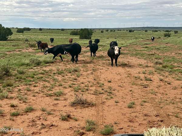 3,100 Acres of Land for Sale in Heber, Arizona